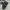Adidas Harden Vol3  Basket Size 425 Original Preloved photo 7