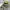 Gorpcore Casual Parka Pria green gray photo 5
