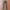 japanese cotton strech casual pants  photo 1