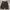 Shortpants Cargo Levis photo 1
