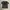DO DENIM DOUBLE LAYER GRAPHIC photo 5