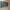 3 in long set photo 3
