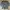 3 in long set photo 4