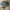 3 in long set photo 2
