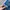 Longpants Jeans Decet Fading Baggy Fit Second Original photo 4