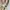 Chanel c19 medium White Leather GHW Sling Bag photo 4
