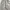 Y2k ballo baggy sweatpants grey photo 4