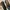 PORTEE LOAFER MEN’S SHOES photo 1