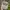 Vintage Hat Pria white gray photo 2