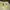 H&M Y2K Fairy Mini skirt Wanita yellow photo 2