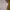 H&M Y2K Fairy Mini Skirt Wanita Purple White