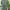 Cardigan Emerald Green photo 2