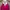 Express Rider Casual Shirt dress Wanita pink photo 4