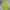 Streetwear Y2K Culotte Wanita Green