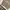 GO JEANS CARGO BALLON PANTS photo 5