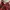American Eagle Outfitters Vintage Y2K Casual dress Wanita red photo 2