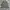 Houston inc photo 1