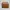 Steve Madden Vintage Wristlet Wanita tan brown photo 1