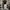SWEAT PANTS BAGGY CARGO GREY - 55 STRAIGHT SINCE 1998 photo 1