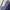 Nike Streetwear Sportswear Windbreaker Pria multicolor silver navy photo 4