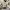 thisisneverthat Streetwear Skater Sweatshirt Pria white photo 5