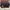 loro piana extra pouch L19 photo 1