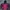 Nike Casual Windbreaker Pria Multicolor
