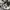 Thanksinsomnia Streetwear Y2K Windbreaker Pria white photo 4