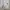 Streetwear Hoody Pria cream photo 4