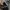 VANS Streetwear Skater Sneakers Pria navy black photo 4