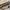 Nine West Vintage Shoulder bag Wanita tan brown photo 2