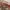 Vintage Coquette Shoulder bag Wanita tan red brown photo 2