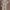 Vintage Midi dress Wanita gray cream photo 1