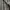 Vintage Casual Suit Pria gray photo 4