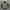 Vintage Casual Suit Pria Gray