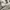 Dji Osmo Mobile 6