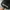 CAP HAT SUPR3ME MILITAGE photo 3