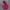 Jaket Outdoor Helly Hansen Gorpcore Waterproof photo 1