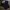 Polo Shirts Royal Navy Morementum photo 1