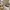 Le Coq Sportif Casual Casual Shoe Pria Cream