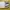 The Elastic-Sided Spaceship photo 5