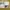 The Elastic-Sided Spaceship photo 3