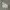 Minimalist Casual Crop top Wanita white photo 3