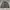 Liner jacket and fleeces army kakhi green photo 7