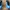 Nike Air Max DN Mens Blue Black photo 1
