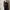 Minimalist Casual Kimono Wanita green black photo 4