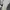 RICK OWENS DRKSHDW RAMONES SNEAKERS BLACK photo 9