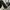 RICK OWENS DRKSHDW RAMONES SNEAKERS BLACK photo 7