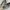 Nike react photo 5