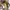 Nike react photo 8